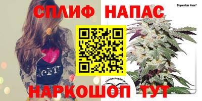 стафф Краснознаменск