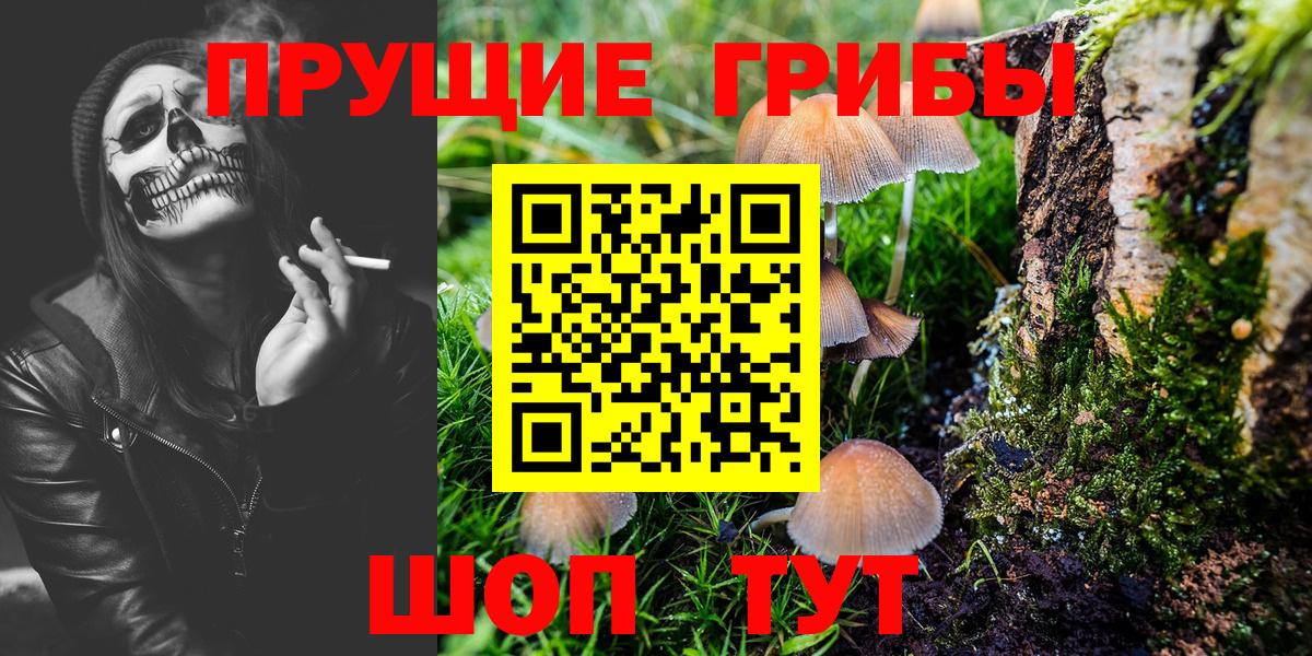Галлюциногенные грибы GOLDEN TEACHER Ижевск